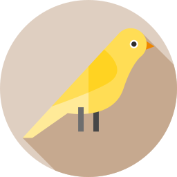 kanarienvogel icon