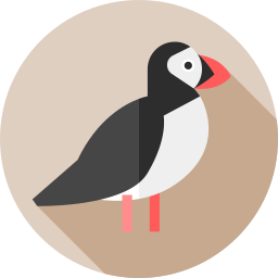 Puffin icon