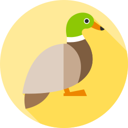 pato mallard icono