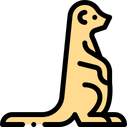 meerkat icoon