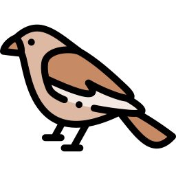 Bird icon