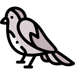 Bird icon