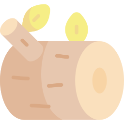 Log icon