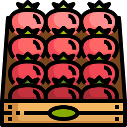 tomate icon