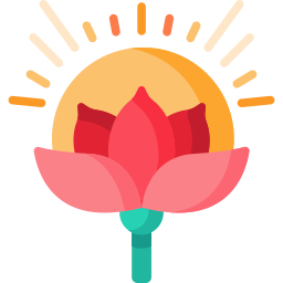 ハスの花 icon