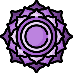 サハスラーラ icon