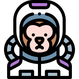 Monkey icon