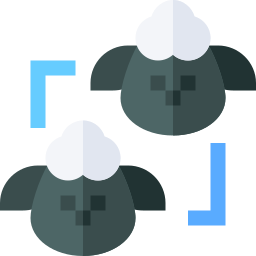 Cloning icon