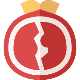 granatapfel icon