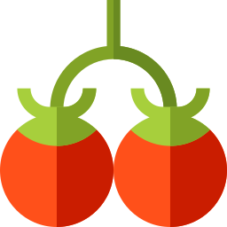 tomates Ícone