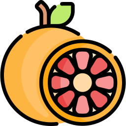 grapefruit icon