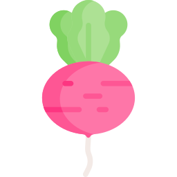 Radish icon