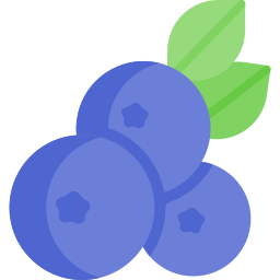 Blueberry icon