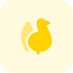 Turkey icon