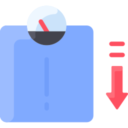 Scale icon