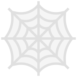 Spider web icon