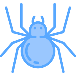 Spider icon