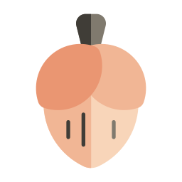 Hazelnut icon