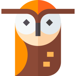 Owl icon