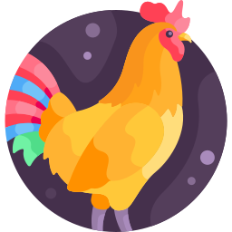 Rooster icon