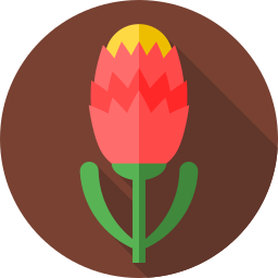 protea иконка