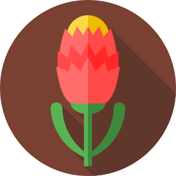 protea icon