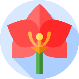 orchidea icona