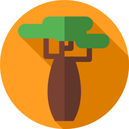 baobab icono