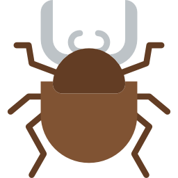 Beetle icon