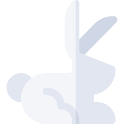 Rabbit icon