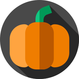 Pumpkin icon