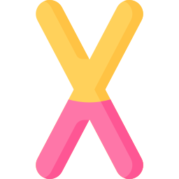 x ikona