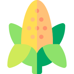 Corn icon