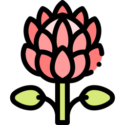 koning protea icoon