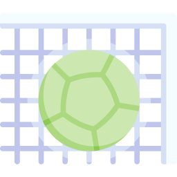 tor icon