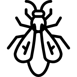 mosca Ícone