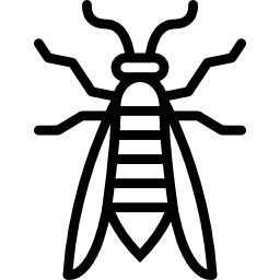 Wasp icon