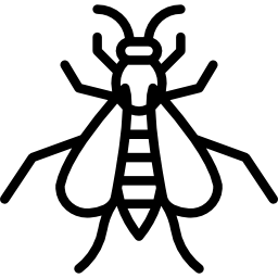 Wasp icon