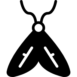 Moth icon