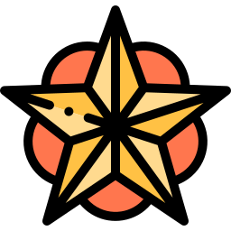 star icon