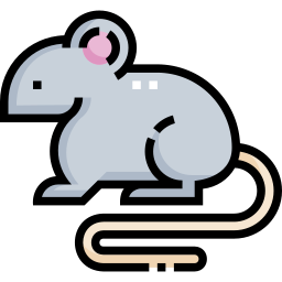 Rat icon