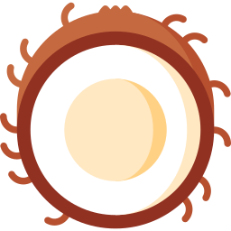 Coconut icon