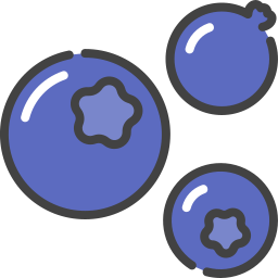 Blueberry icon