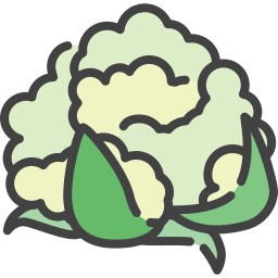 Cauliflower icon