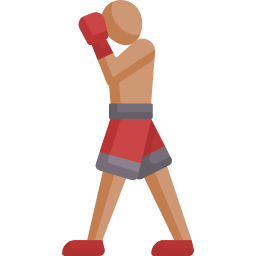 boxer icon