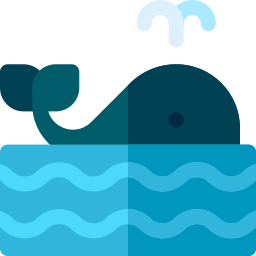 Whale icon