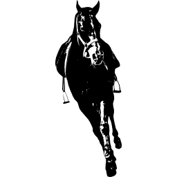 widok z przodu konia ikona