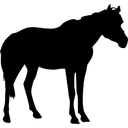 cavalo preto em forma de vista lateral Ícone
