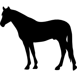 Лошадь черный силуэт смотрит влево иконка