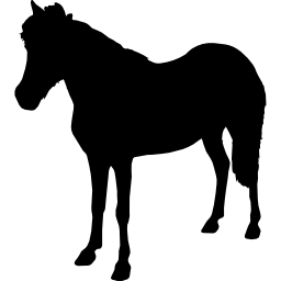 Лошадь стоя животное черная форма лицом влево иконка